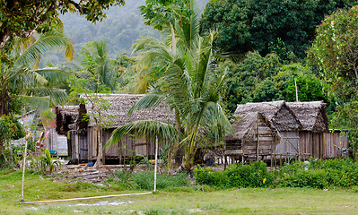 Image showing Africa malagasy huts in Maroantsetra region, Madagascar