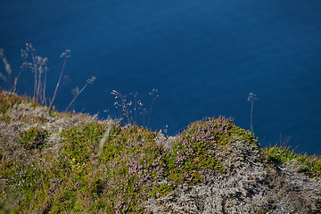 Image showing Beautiful view on norwegian fjords