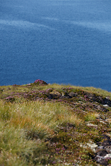 Image showing Beautiful view on norwegian fjords