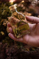 Image showing potion bottle in hand of herbalist