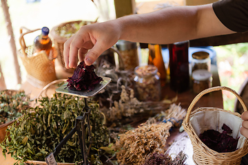 Image showing herbalist small business owner