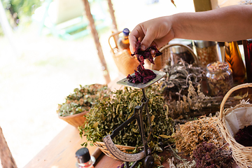 Image showing herbalist small business owner