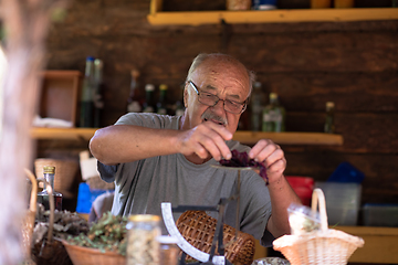 Image showing herbalist