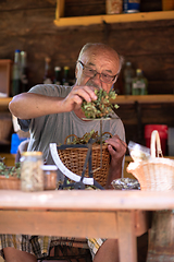 Image showing herbalist