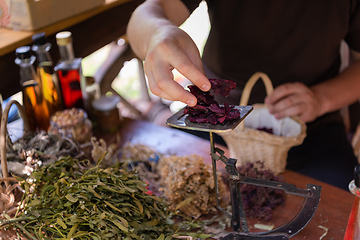 Image showing herbalist small business owner