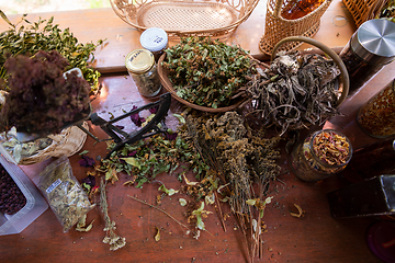 Image showing herbalist workshop