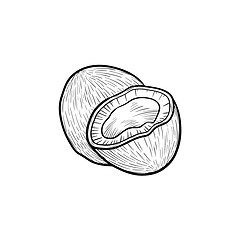 Image showing Coconut hand drawn sketch icon.