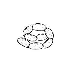 Image showing Sausage chain hand drawn sketch icon.