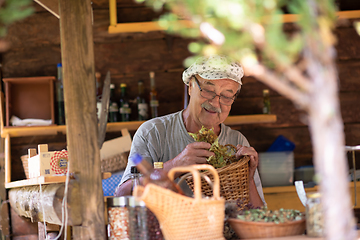 Image showing herbalist