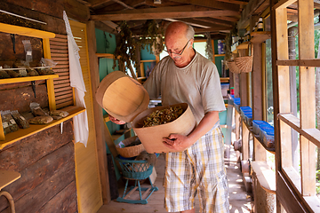 Image showing herbalist