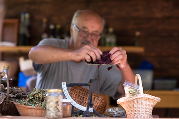 Image showing herbalist