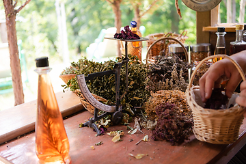 Image showing herbalist small business owner