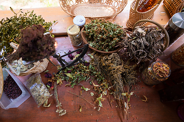 Image showing herbalist workshop