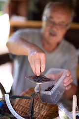 Image showing herbalist