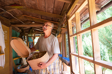 Image showing herbalist