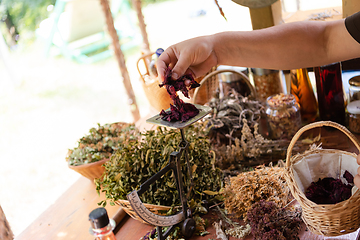 Image showing herbalist small business owner