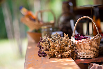 Image showing herbalist workshop