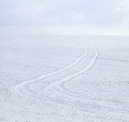 Image showing Snow drifts in winter