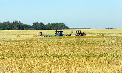 Image showing Agricultural field