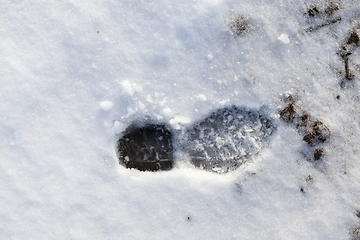 Image showing Snowdrifts in winter