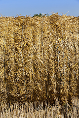 Image showing straw texture background, close up