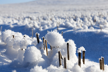 Image showing Snow drifts in winter