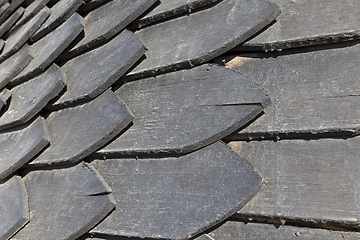 Image showing Old pine board, close-up