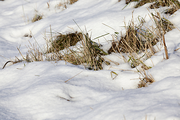 Image showing After snowfall