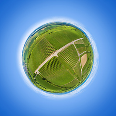 Image showing little planet aerial view vineyard scenery at Kaiserstuhl German