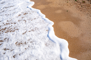 Image showing shore detail at the sand beach in Italy