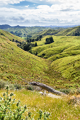 Image showing typical rural landscape in New Zealand