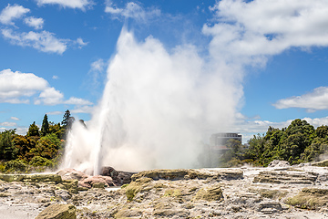 Image showing Geyser in New Zealand Rotorua