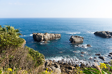 Image showing Sea shore