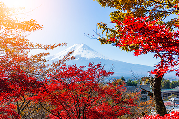 Image showing Mount Fuji and red maple tree