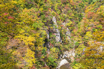 Image showing Naruko Gorge in autumn season