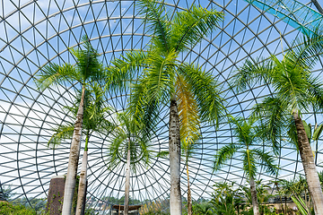 Image showing Green house