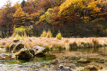 Image showing Autumn landscape in Nikko of Japan