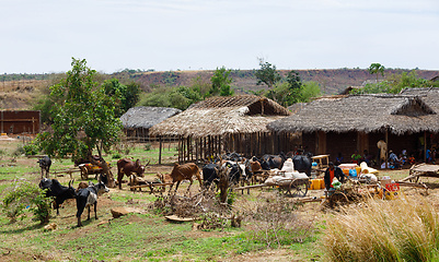 Image showing Malagasy peoples on farm in rural Madagascar