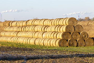 Image showing straw after harvest