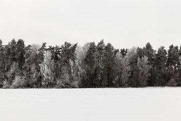 Image showing Winter time, close-up