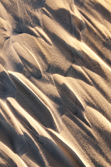 Image showing Snowdrifts, a field in winter