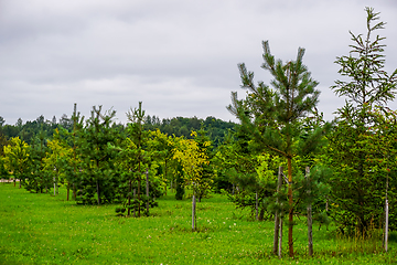 Image showing Garden in Koknese park Garden of Destinies in Latvia.