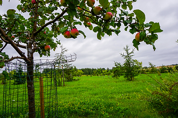 Image showing Garden in Koknese park Garden of Destinies in Latvia.