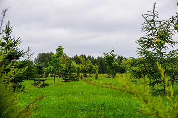 Image showing Garden in Koknese park Garden of Destinies in Latvia.