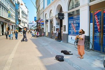 Image showing Street musician perform play. Copenhagen 