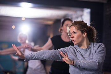 Image showing sporty women doing aerobics exercises