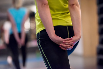 Image showing sporty women doing aerobics exercises