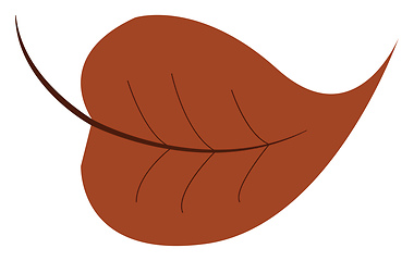 Image showing A leaf vector or color illustration