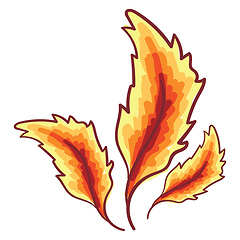Image showing Feathers in red and yellow shades vector or color illustration
