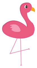Image showing Pink flamingo standing on one leg  vector illustration on white 